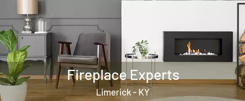Fireplace Experts Limerick - KY
