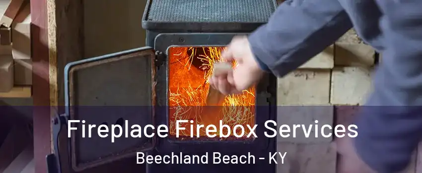 Fireplace Firebox Services Beechland Beach - KY