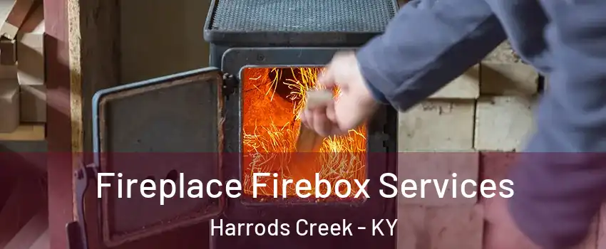 Fireplace Firebox Services Harrods Creek - KY