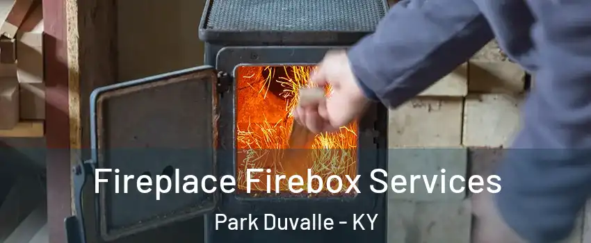 Fireplace Firebox Services Park Duvalle - KY