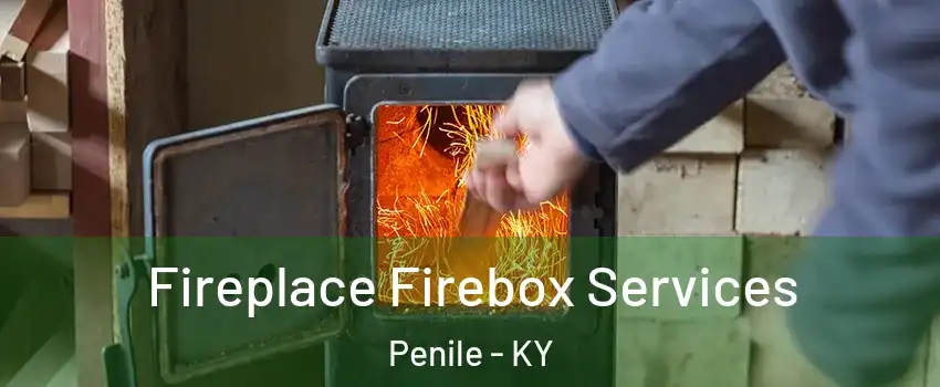 Fireplace Firebox Services Penile - KY