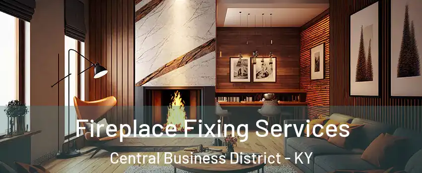 Fireplace Fixing Services Central Business District - KY