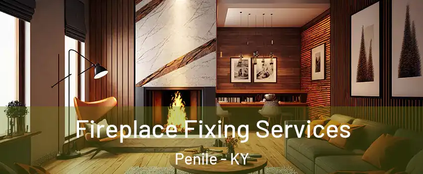 Fireplace Fixing Services Penile - KY