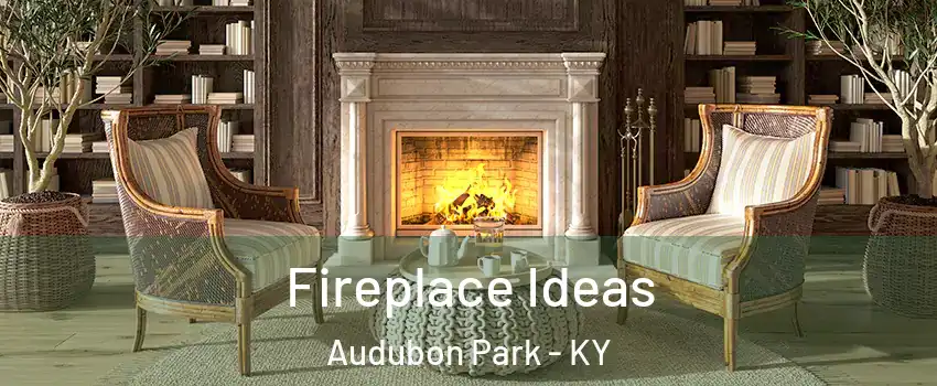 Fireplace Ideas Audubon Park - KY
