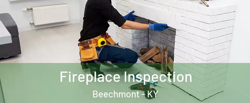 Fireplace Inspection Beechmont - KY