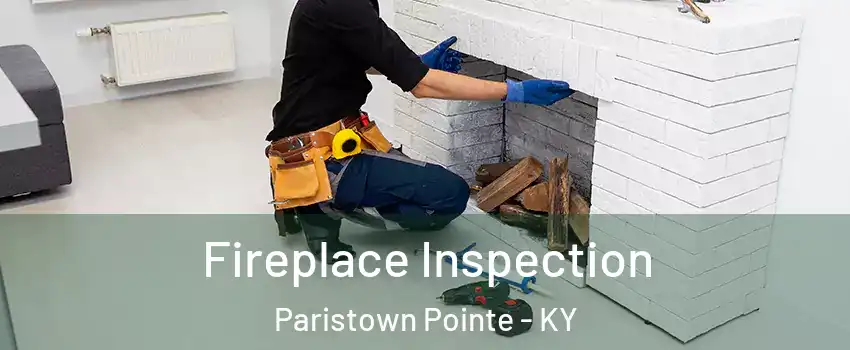 Fireplace Inspection Paristown Pointe - KY