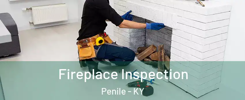 Fireplace Inspection Penile - KY