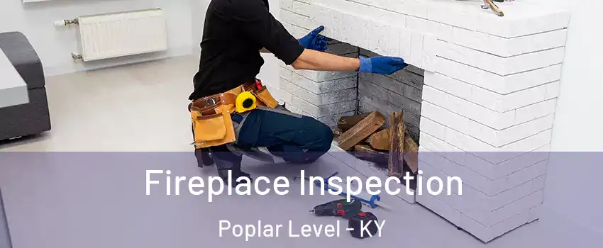 Fireplace Inspection Poplar Level - KY