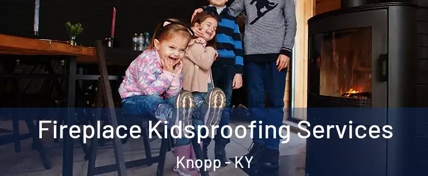 Fireplace Kidsproofing Services Knopp - KY