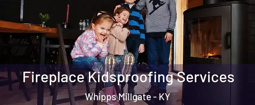 Fireplace Kidsproofing Services Whipps Millgate - KY