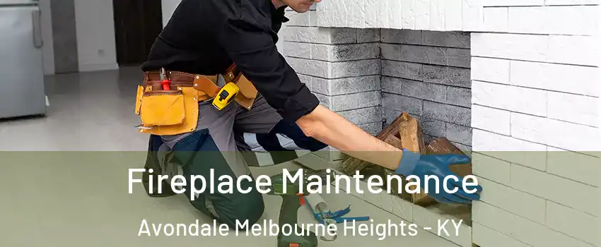Fireplace Maintenance Avondale Melbourne Heights - KY