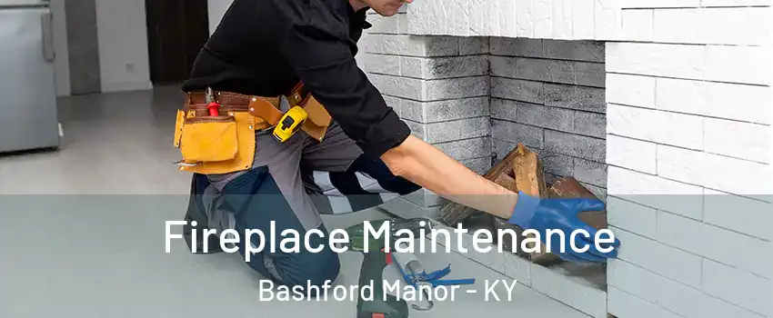 Fireplace Maintenance Bashford Manor - KY