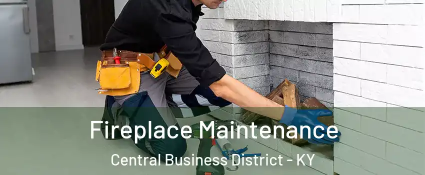 Fireplace Maintenance Central Business District - KY