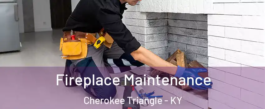 Fireplace Maintenance Cherokee Triangle - KY