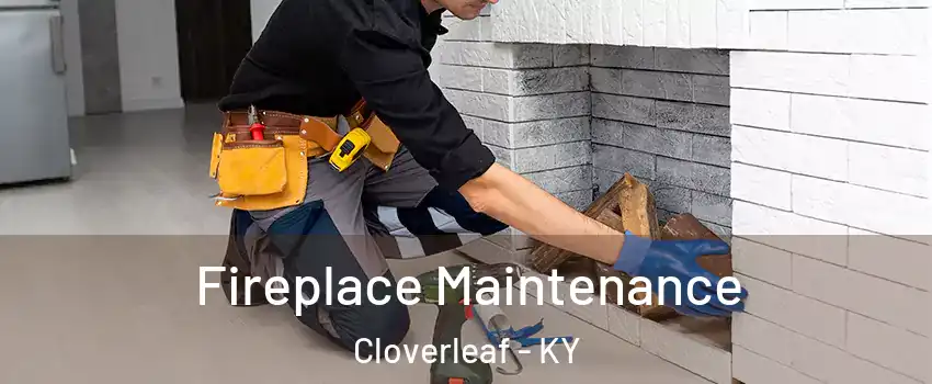 Fireplace Maintenance Cloverleaf - KY