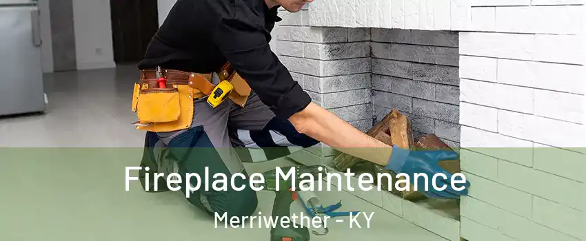 Fireplace Maintenance Merriwether - KY