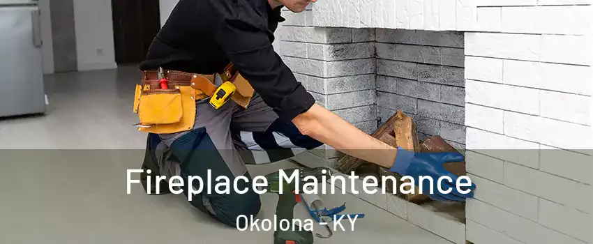 Fireplace Maintenance Okolona - KY
