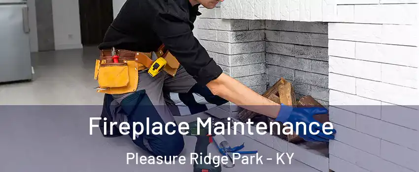 Fireplace Maintenance Pleasure Ridge Park - KY