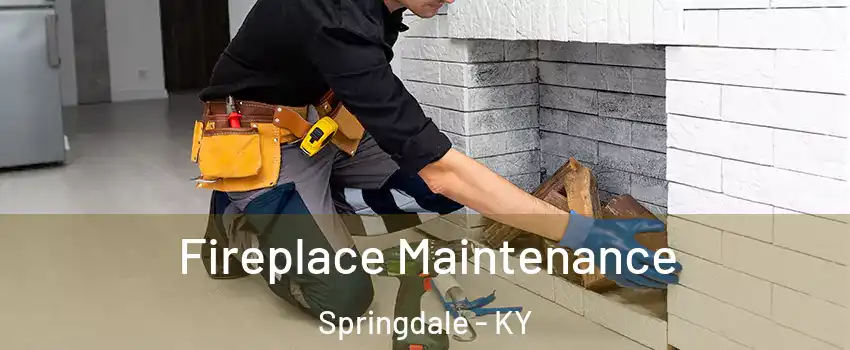 Fireplace Maintenance Springdale - KY