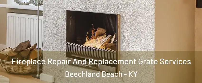 Fireplace Repair And Replacement Grate Services Beechland Beach - KY