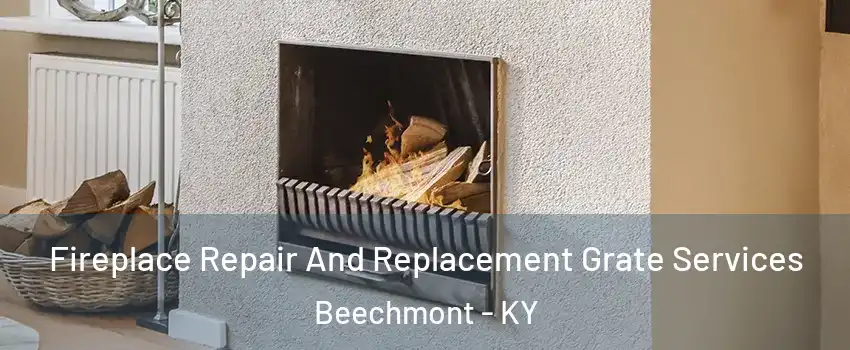 Fireplace Repair And Replacement Grate Services Beechmont - KY