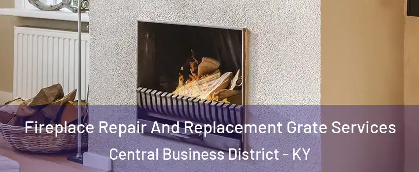 Fireplace Repair And Replacement Grate Services Central Business District - KY
