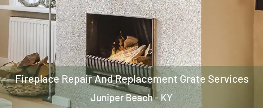 Fireplace Repair And Replacement Grate Services Juniper Beach - KY