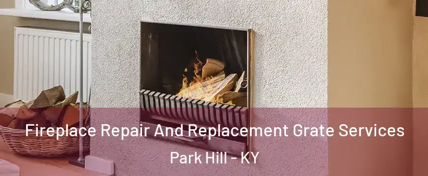 Fireplace Repair And Replacement Grate Services Park Hill - KY