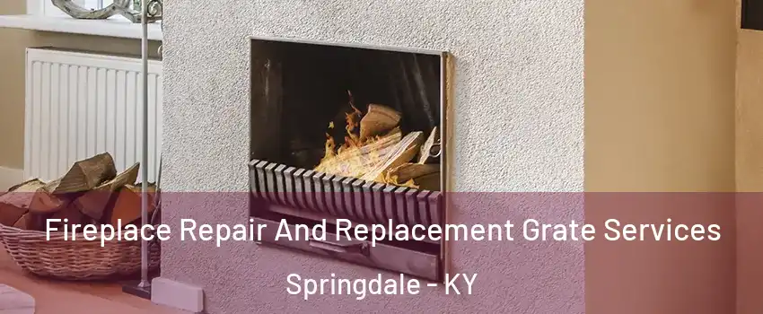 Fireplace Repair And Replacement Grate Services Springdale - KY