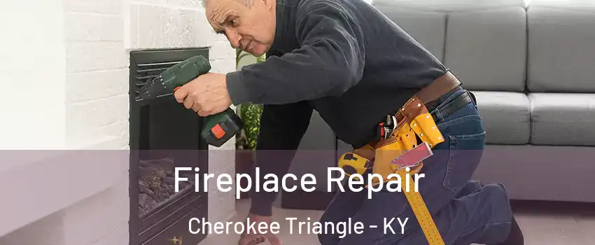 Fireplace Repair Cherokee Triangle - KY