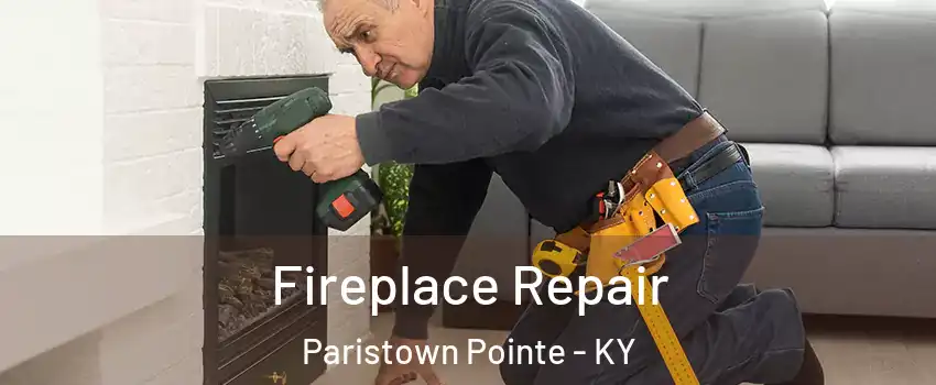 Fireplace Repair Paristown Pointe - KY