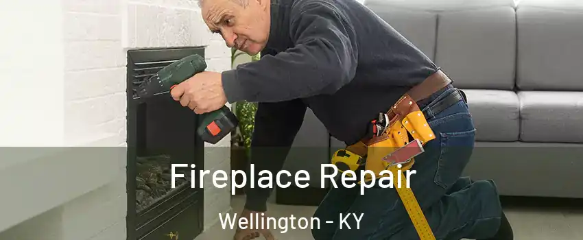 Fireplace Repair Wellington - KY