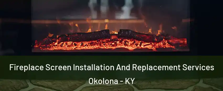 Fireplace Screen Installation And Replacement Services Okolona - KY