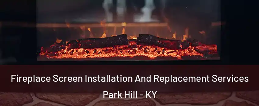 Fireplace Screen Installation And Replacement Services Park Hill - KY