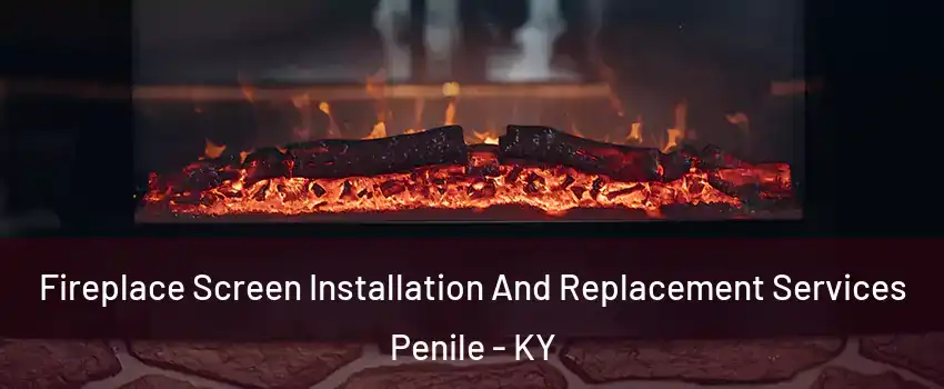 Fireplace Screen Installation And Replacement Services Penile - KY