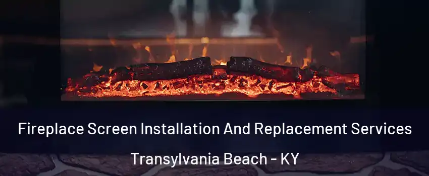 Fireplace Screen Installation And Replacement Services Transylvania Beach - KY