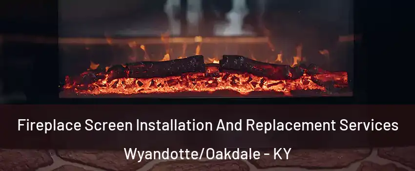 Fireplace Screen Installation And Replacement Services Wyandotte/Oakdale - KY