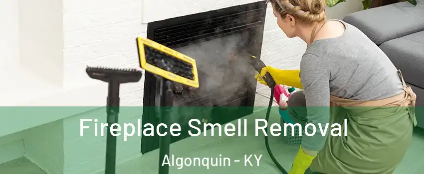 Fireplace Smell Removal Algonquin - KY