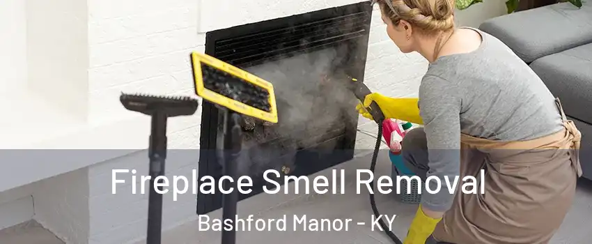 Fireplace Smell Removal Bashford Manor - KY