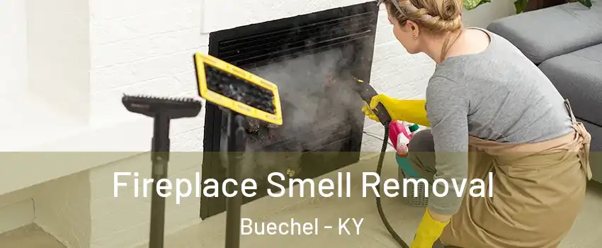Fireplace Smell Removal Buechel - KY