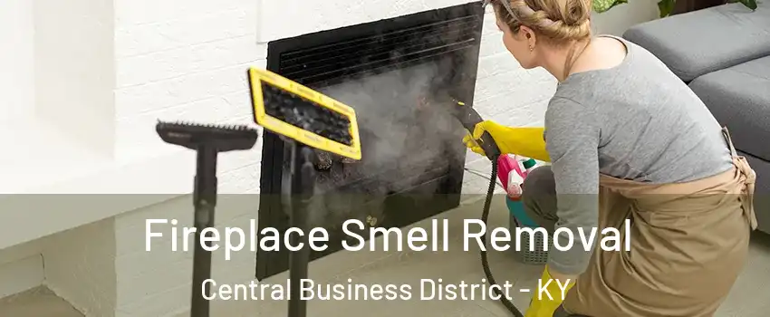 Fireplace Smell Removal Central Business District - KY
