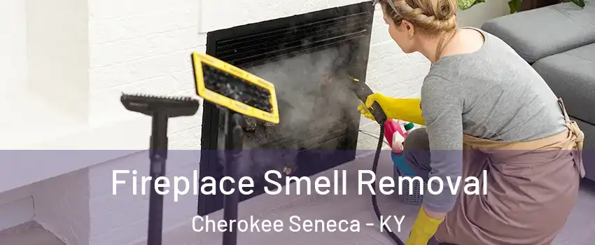 Fireplace Smell Removal Cherokee Seneca - KY