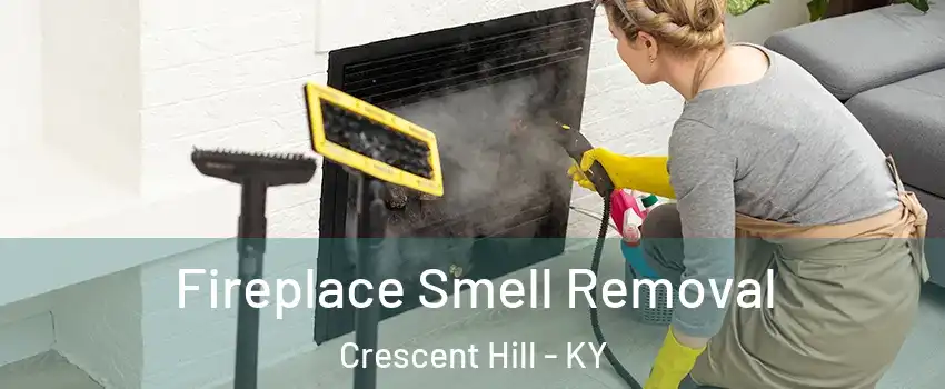 Fireplace Smell Removal Crescent Hill - KY