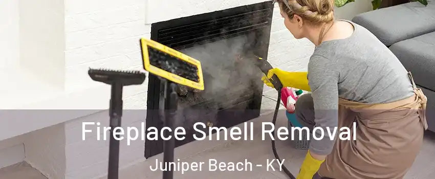 Fireplace Smell Removal Juniper Beach - KY