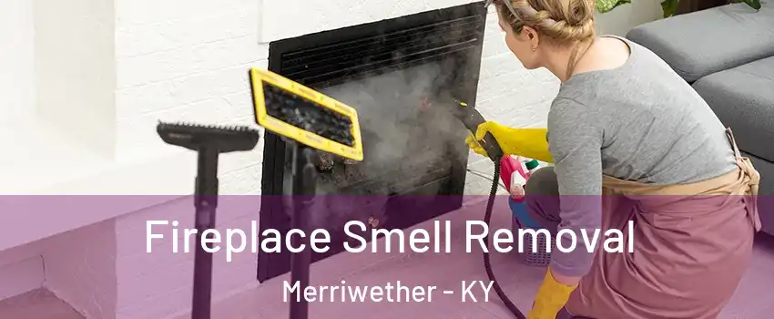 Fireplace Smell Removal Merriwether - KY