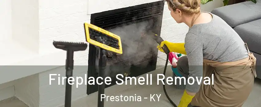 Fireplace Smell Removal Prestonia - KY
