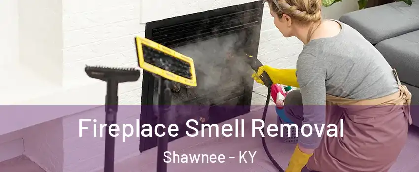 Fireplace Smell Removal Shawnee - KY