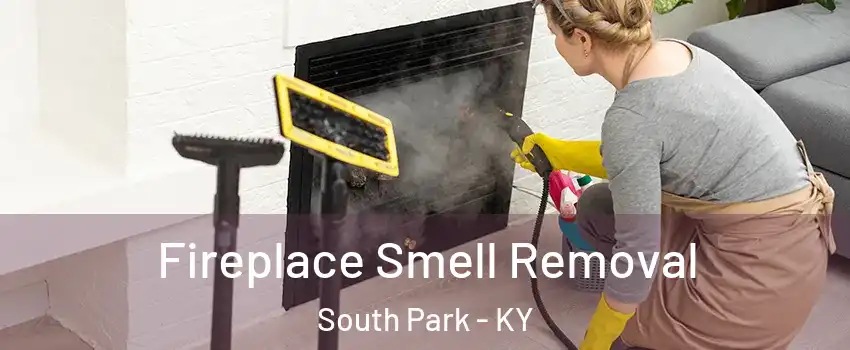 Fireplace Smell Removal South Park - KY