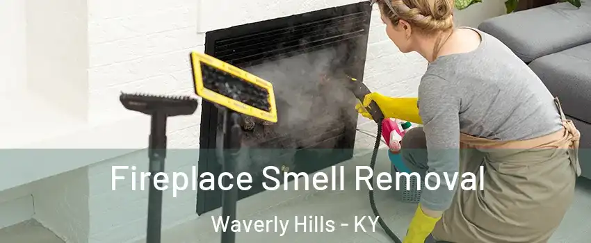 Fireplace Smell Removal Waverly Hills - KY