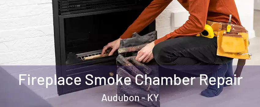 Fireplace Smoke Chamber Repair Audubon - KY
